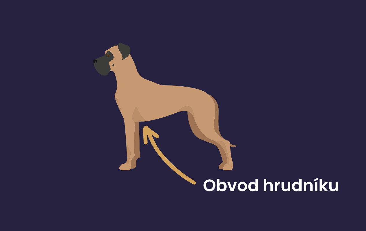 Obvod hrudníku